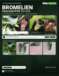Bromilien-Kaulquappen-Becken-Imitation-