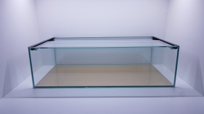 Bild 1 von Aquarium 68/22 für das IKEA Kallax Regal  / () 68/22 scwarze Rückwand