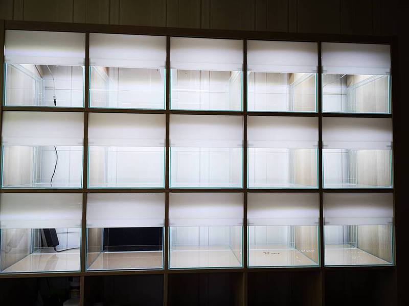 Bild 1 von Aquarium20-HMF/2  komplett mit Filter und Abdeckscheiben für das IKEA Kallax Regal