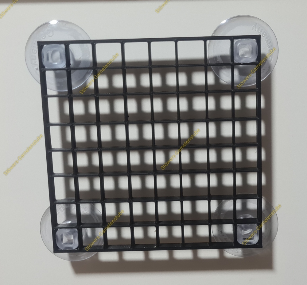 Bild 1 von Moosgitter Seiten/Rückwand  / (Moosgitter) Moosgitter Seiten/Rückwand mit Schwarz mit Süßwassertang