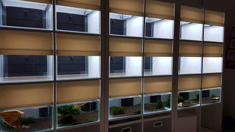 Bild 1 von Kallax22HMF  Aquarium komplett mit Filter und Abdeckscheiben