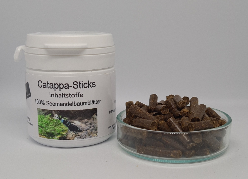 Bild 1 von Catappa/Seemandelbaum Sticks