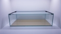 Bild 1 von Aquarium 68/20 für das IKEA Kallax Regal  / () 68/20