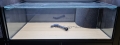 Bild 1 von Aquarium 68/20 für das IKEA Kallax Regal  / () 68/20  HMFE rechts