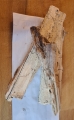 Bild 3 von Weißfaules Holz  200g
