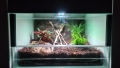 Bild 2 von Kallax Terrarium mit Falltür