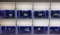 Bild 5 von Kallax22HMF  Aquarium komplett mit Filter und Abdeckscheiben