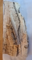 Bild 2 von Weißfaules Holz  200g