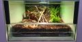 Bild 3 von Terrarien LED Leuchte