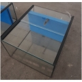 Kallax Aquarium 20 cm mit Rückwandfilter
