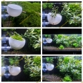 Pflanzentopf-Plant Bowl